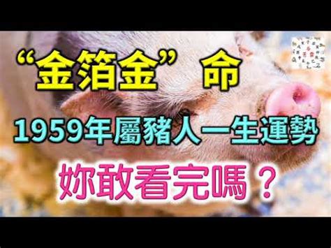 豬的生肖|【豬五行】屬豬五行解密：看懂生肖豬的五行屬性，助你趨吉避兇。